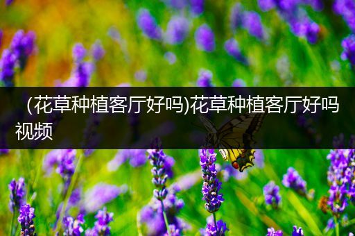 （花草种植客厅好吗)花草种植客厅好吗视频