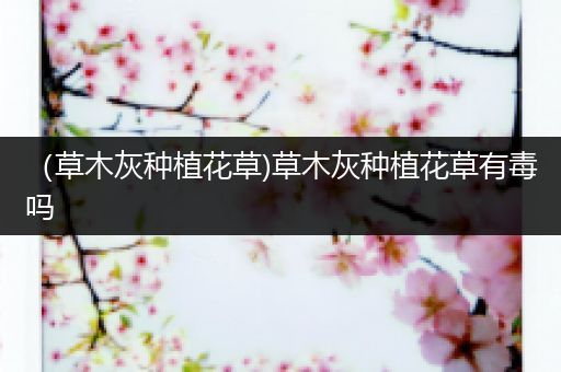 （草木灰种植花草)草木灰种植花草有毒吗