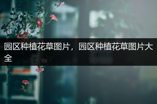 园区种植花草图片，园区种植花草图片大全