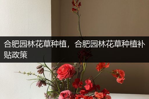 合肥园林花草种植，合肥园林花草种植补贴政策