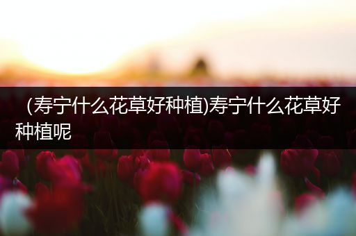 （寿宁什么花草好种植)寿宁什么花草好种植呢