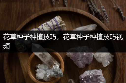 花草种子种植技巧，花草种子种植技巧视频