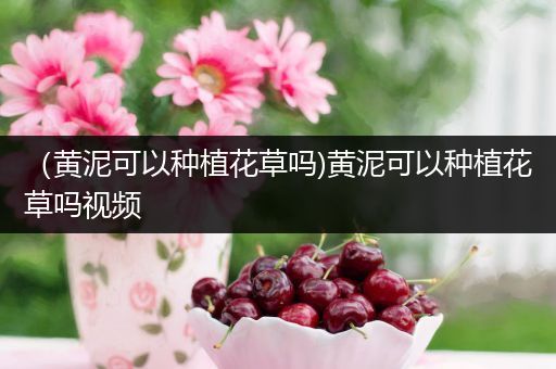 （黄泥可以种植花草吗)黄泥可以种植花草吗视频