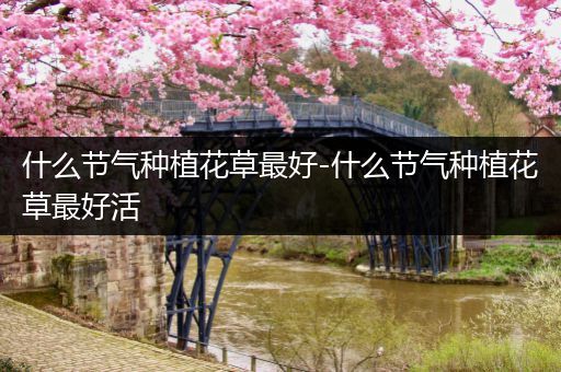 什么节气种植花草最好-什么节气种植花草最好活