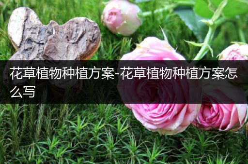 花草植物种植方案-花草植物种植方案怎么写