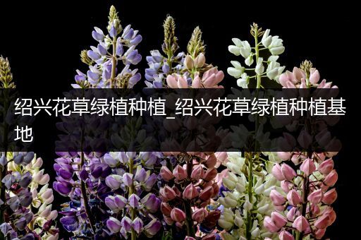 绍兴花草绿植种植_绍兴花草绿植种植基地