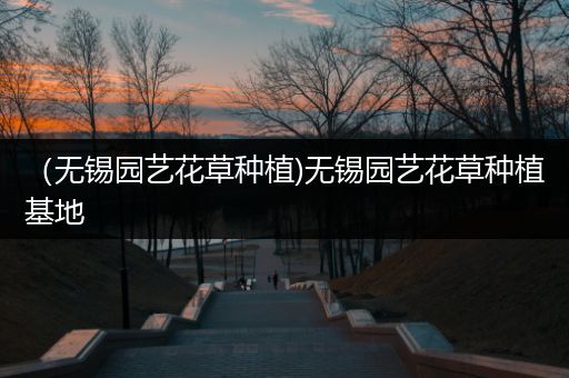 （无锡园艺花草种植)无锡园艺花草种植基地
