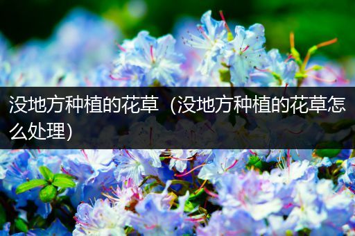 没地方种植的花草（没地方种植的花草怎么处理）