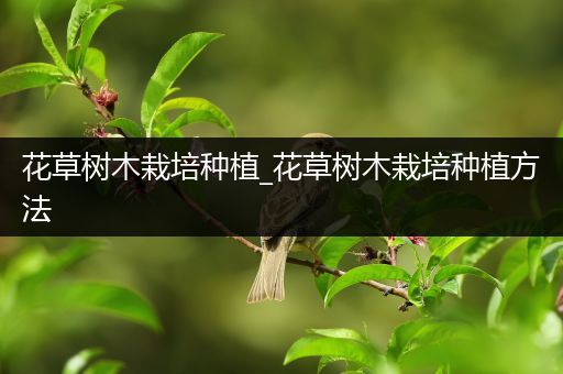 花草树木栽培种植_花草树木栽培种植方法