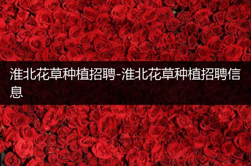 淮北花草种植招聘-淮北花草种植招聘信息