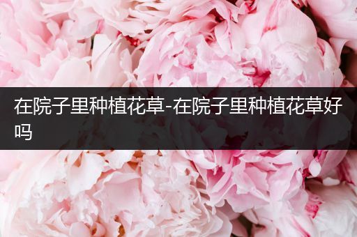 在院子里种植花草-在院子里种植花草好吗