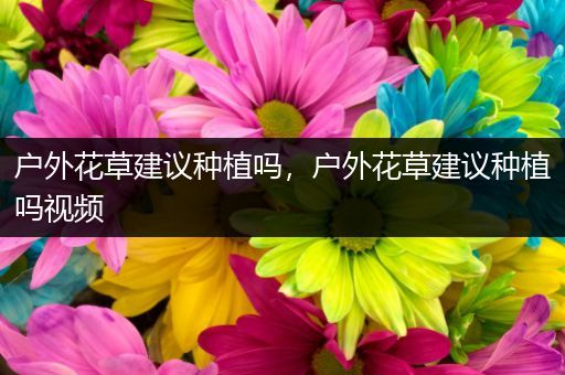 户外花草建议种植吗，户外花草建议种植吗视频