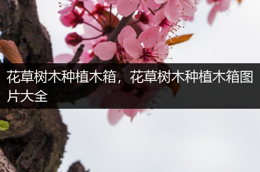 花草树木种植木箱，花草树木种植木箱图片大全