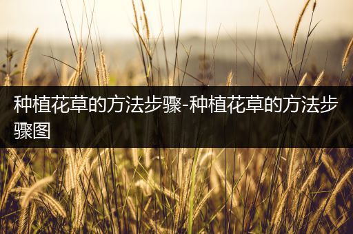 种植花草的方法步骤-种植花草的方法步骤图