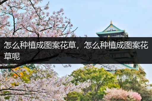 怎么种植成图案花草，怎么种植成图案花草呢