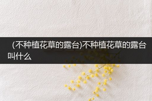 （不种植花草的露台)不种植花草的露台叫什么