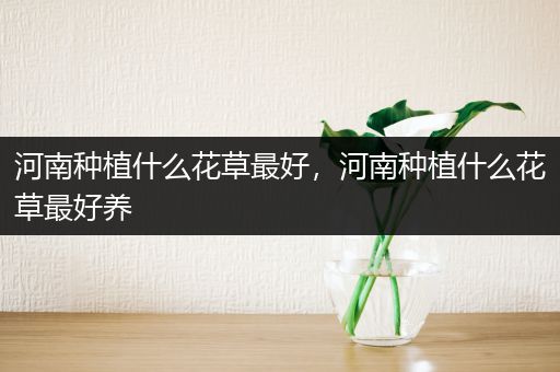 河南种植什么花草最好，河南种植什么花草最好养