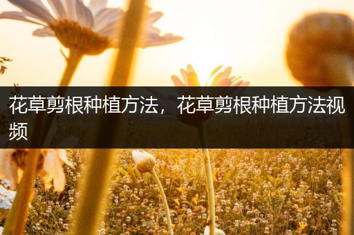 花草剪根种植方法，花草剪根种植方法视频