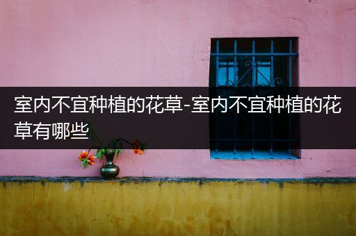 室内不宜种植的花草-室内不宜种植的花草有哪些