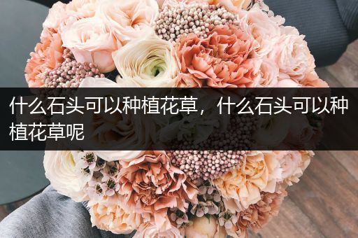 什么石头可以种植花草，什么石头可以种植花草呢