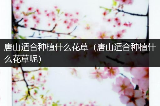 唐山适合种植什么花草（唐山适合种植什么花草呢）