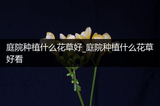 庭院种植什么花草好_庭院种植什么花草好看