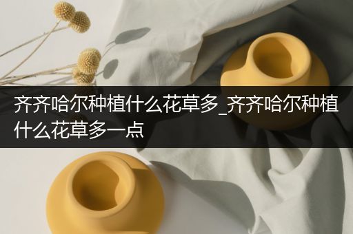 齐齐哈尔种植什么花草多_齐齐哈尔种植什么花草多一点
