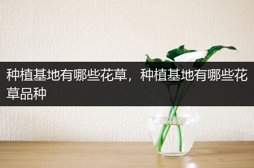 种植基地有哪些花草，种植基地有哪些花草品种