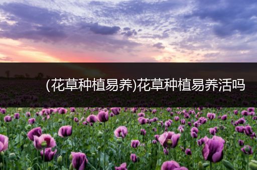 （花草种植易养)花草种植易养活吗