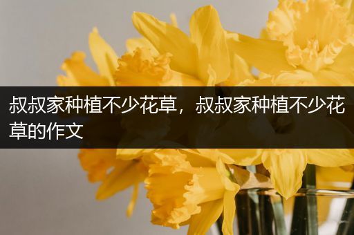 叔叔家种植不少花草，叔叔家种植不少花草的作文