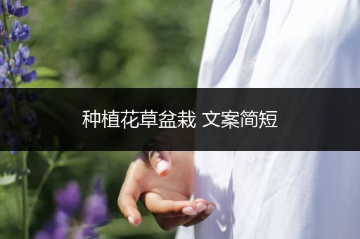 种植花草盆栽 文案简短