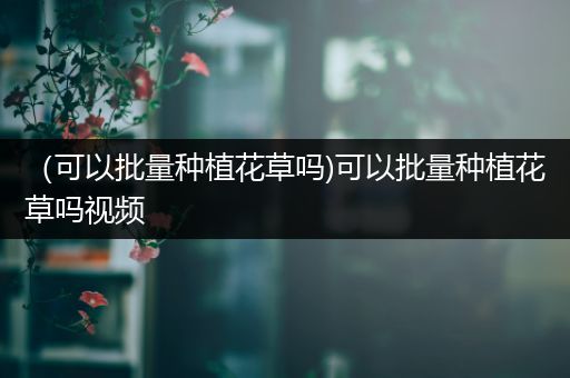 （可以批量种植花草吗)可以批量种植花草吗视频