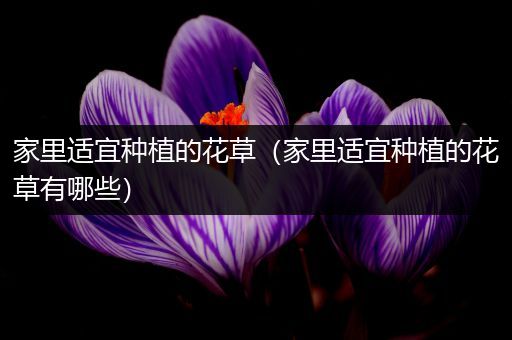 家里适宜种植的花草（家里适宜种植的花草有哪些）
