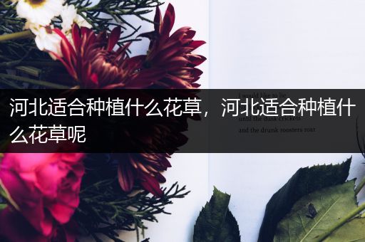 河北适合种植什么花草，河北适合种植什么花草呢