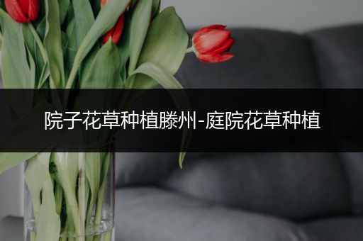 院子花草种植滕州-庭院花草种植