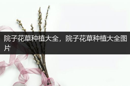 院子花草种植大全，院子花草种植大全图片