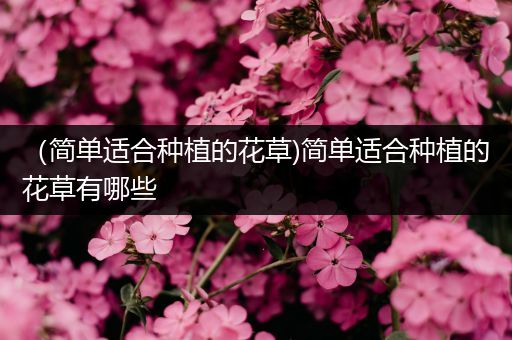（简单适合种植的花草)简单适合种植的花草有哪些