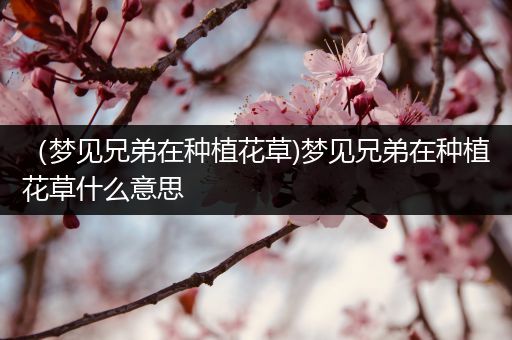 （梦见兄弟在种植花草)梦见兄弟在种植花草什么意思