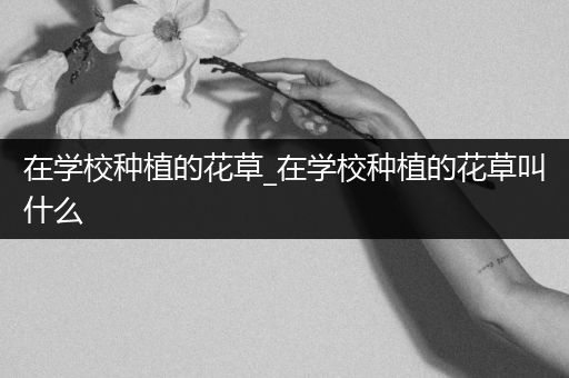 在学校种植的花草_在学校种植的花草叫什么