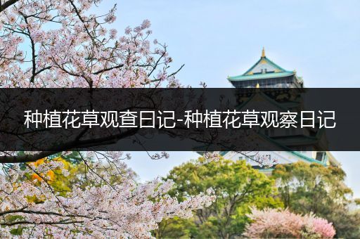 种植花草观查曰记-种植花草观察日记