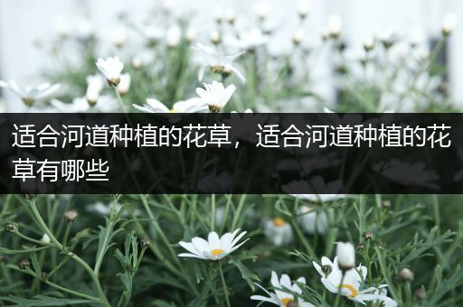 适合河道种植的花草，适合河道种植的花草有哪些