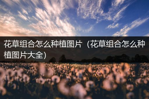花草组合怎么种植图片（花草组合怎么种植图片大全）