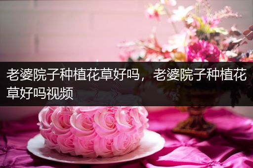 老婆院子种植花草好吗，老婆院子种植花草好吗视频