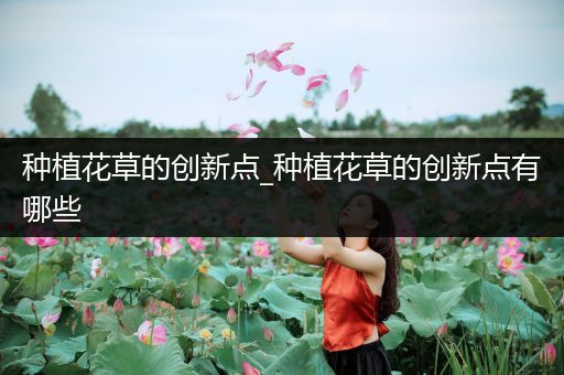 种植花草的创新点_种植花草的创新点有哪些