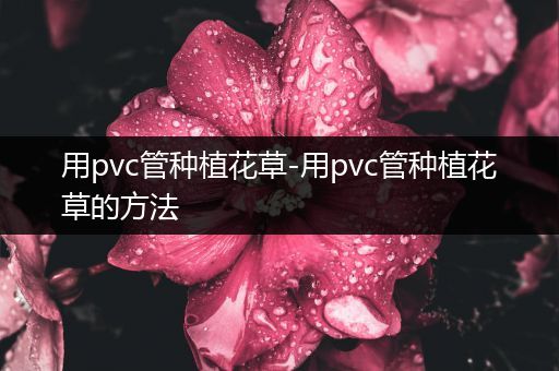 用pvc管种植花草-用pvc管种植花草的方法