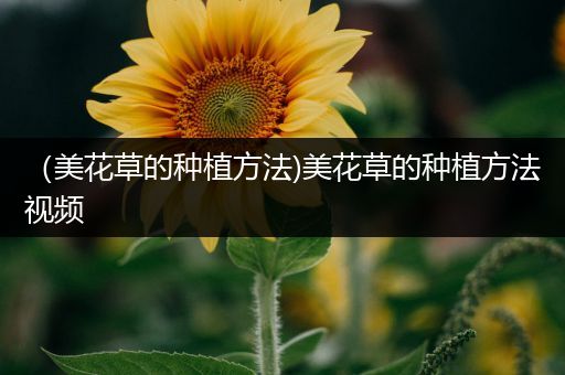 （美花草的种植方法)美花草的种植方法视频