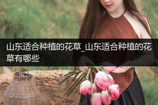 山东适合种植的花草_山东适合种植的花草有哪些