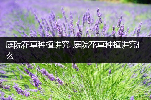 庭院花草种植讲究-庭院花草种植讲究什么