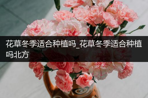 花草冬季适合种植吗_花草冬季适合种植吗北方