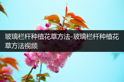 玻璃栏杆种植花草方法-玻璃栏杆种植花草方法视频